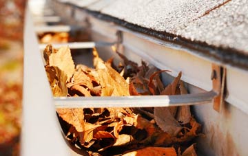 Rhode Common gutter cleaning companies