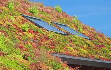 Rhode Common living roof systems