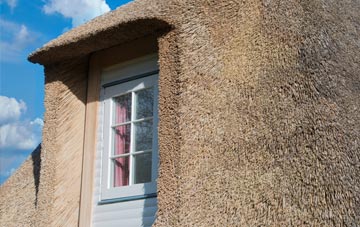 Rhode Common thatch roof disadvantages