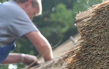 professional Rhode Common thatchers