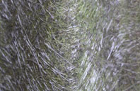 Rhode Common fibreglass roof work