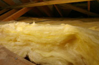 Rhode Common pitch roof insulation